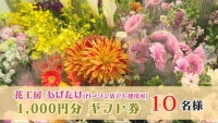 プレゼント3月①