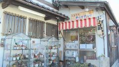 たけたけ①