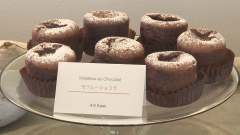 カイト⑤