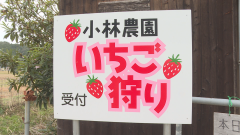 いちご①