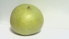 なし①