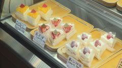シェル②